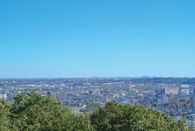 天覧山（195m）からの眺め