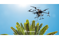テラドローン子会社「Terra Drone Agri」、マレーシアの大規模パーム農園で高精度ドローンを活用したミノムシ防除を開始