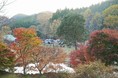 キャンプ場検索・予約サイト「なっぷ」調べ　2021年9月~11月　秋のキャンプ動向