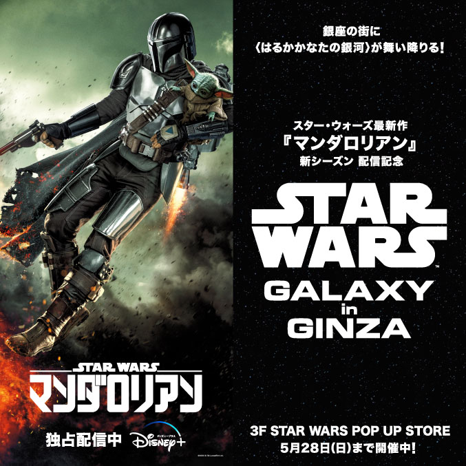 スター・ウォーズ コンサート パンフレット - その他