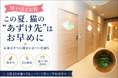 この夏、猫の“あずけ先”はお早めに。猫専門ホテル『ねこべや』、夏の予約が本格化――お盆はすでに満室に近づく店舗も。ダイナミックプライシングで「早いほどお得」