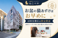 旅行シーズンの“猫あずけ”は、空港から満室に。猫専門ホテル『ねこべや』羽田空港店、お盆はすでに満室間近 ― 犬より多い「猫」の預け需要が集中