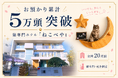 猫専門ホテル『ねこべや』、お預かり累計5万頭を突破。“猫専門・完全個室”の預かりが、選ばれ続けています