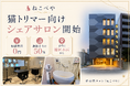 猫専門サロン『ねこべや』、猫トリマー向けの“場所貸し（シェアサロン）”を開始。初期費用0円・報酬は施術売上の50% ― 業務委託の猫トリマーを募集