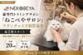 【全国20店舗・開業2年目以降の店舗は全店黒字化】猫専門トリミングサロン『ねこべやサロン』 フランチャイズ加盟オーナー募集 第2期スタート