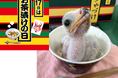 5月17日＝お茶漬けの日は、ヘビクイワシ「ちゃづけ」ちゃんが主役！　永谷園×東武動物公園「ちゃづけ」ちゃん誕生日コラボイベント開催