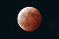 今年のひなまつりは皆既月食で特別な夜に！サンシャイン60展望台 3月の満月「ワームムーン」と皆既月食 観賞会 3月3日（火）18:00～20:50 【月の出 17:28ごろ】