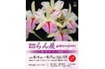 第65回蘭友会らん展 in サンシャインシティ ～オーキッド・カップ2026～6月4日(木)～6月7日(日)　入場無料