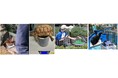 サンシャイン水族館いきものディスカバリー通信vol.27*5月20日は「世界計量記念日」サンシャイン水族館で暮らす生き物たちの体重測定とその裏で光る飼育スタッフの生き物へのケア