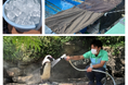 水族館の生き物も《熱中症》になることがあります！屋上に暮らす生き物を“酷暑日”の暑さから守る工夫をご紹介『サンシャイン水族館の熱中症対策2026』