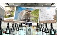 猛暑につき、水族館から“涼”をお届け。サンシャイン水族館の生き物たちがJR埼京線車両内をジャック！6月29日(月)より一足先に「暑中お見舞い申し上げます」
