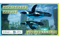 ケープペンギンの保全に関するクラウドファンディング「絶滅の危機―野生のケープペンギンをサンシャイン水族館と共に守る。」主催：ShoeZ（シューズ）　協力：サンシャイン水族館*7月13日～9月30日*
