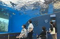 【実施事後報告】防災のあり方と災害時に障がいのある方も取り残さないDEIの重要性と当事者視点を身につけるサンシャインシティグループ「防災研修」