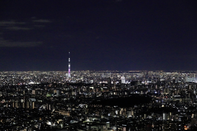 展望台の夜景