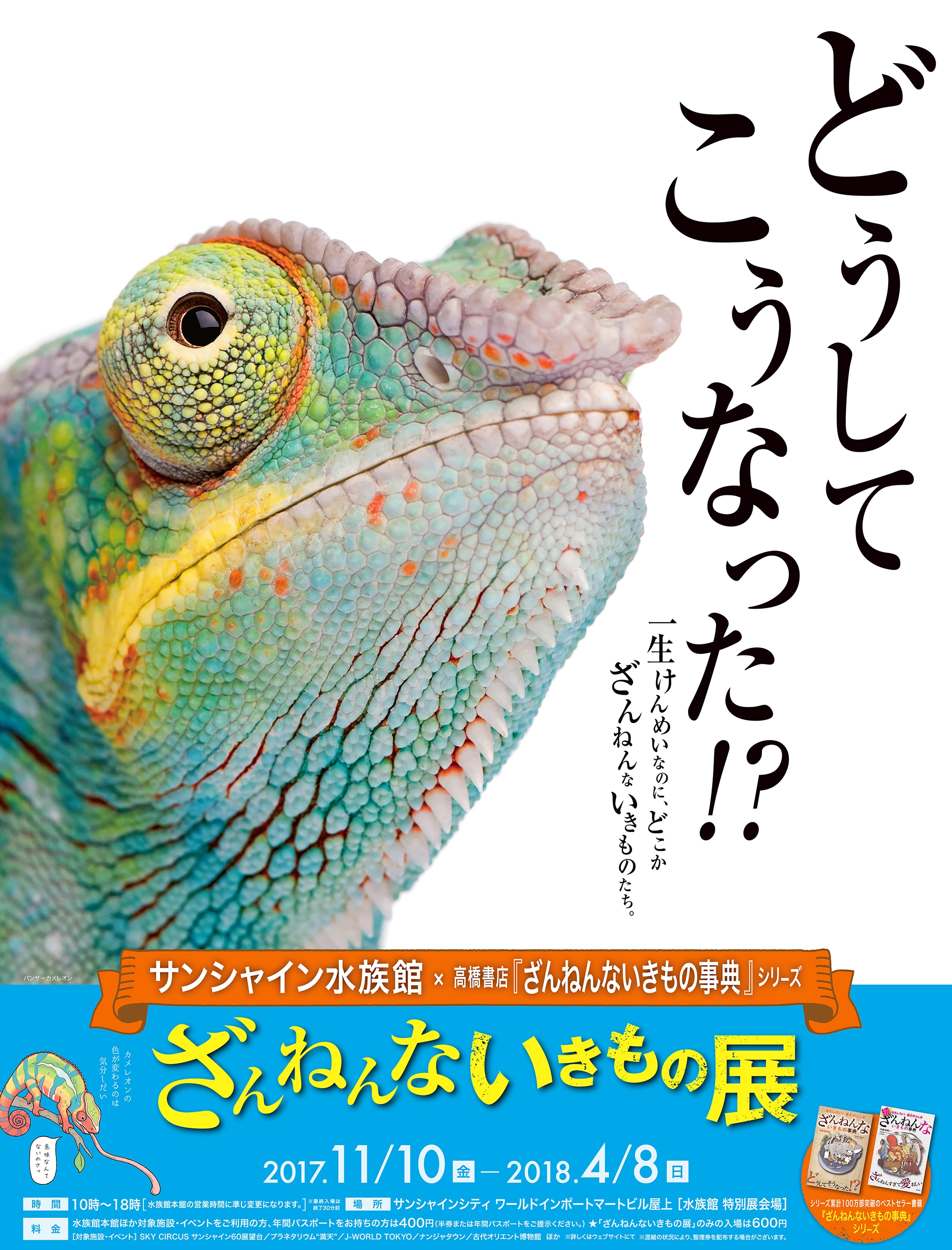 シリーズ累計100万部を突破した人気書籍とコラボレーションした特別展 サンシャイン水族館 高橋書店 ざんねんないきもの事典 シリーズ ざんねんないきもの展 開催 株式会社サンシャインシティのプレスリリース