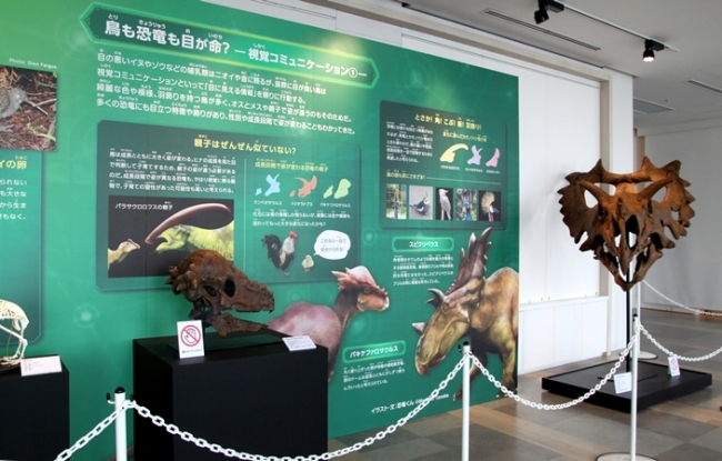 恐竜くんプロデュース　恐竜スカイミュージアム～鳥は恐竜だった！～
