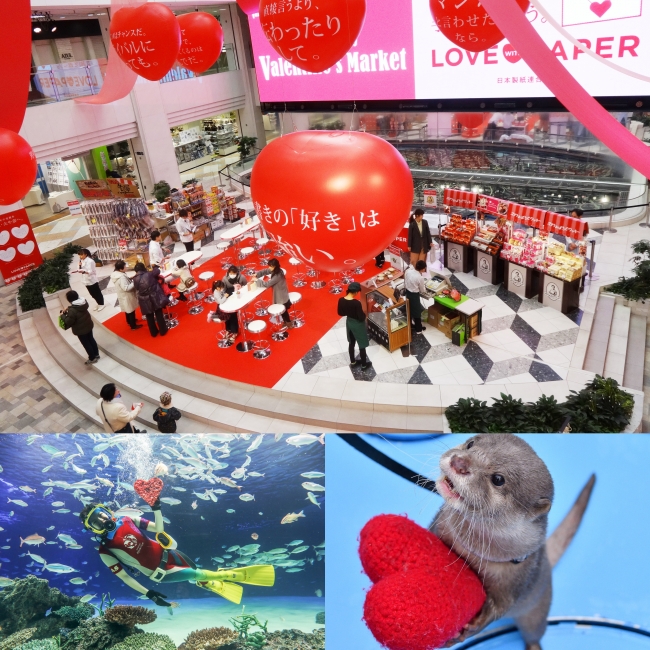 サンシャインシティのValentine's Day ～水族館・展望台・専門店街