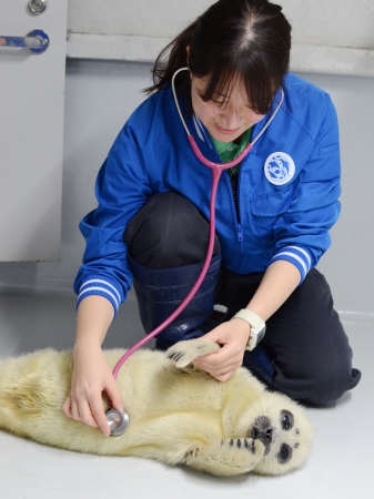 獣医による診察の様子