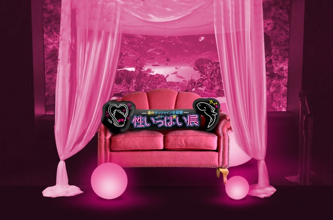 ムーディーなお部屋の世界観を表現したピンクのソファー