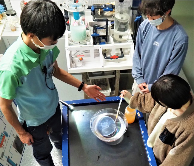 生き物への餌やり体験の当たり口も