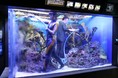 いきものディスカバリー通信vol.7「落水清掃」