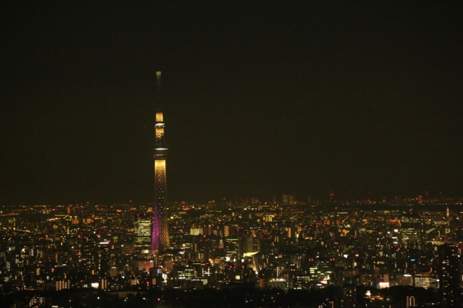 夜景（撮影：高柳明音）