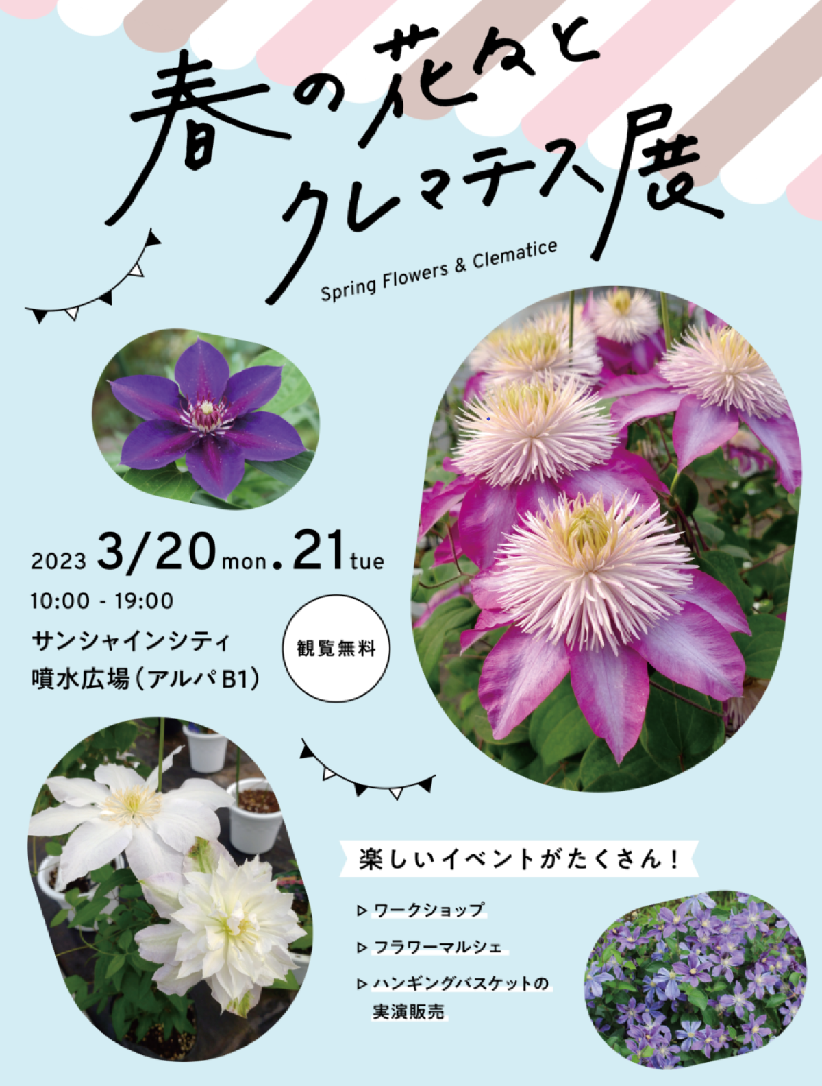 花々の華麗さの競演でお客様をおもてなし「春の花々とクレマチス展