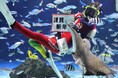 辰をテーマにした干支水槽が登場!サンシャイン水族館のお正月2024