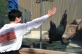 サンシャイン水族館が贈る2025年の新年初体験!25,000円で25個限定のプレミアム福袋 水族館貸切や飼育スタッフ体験など、ここでしか味わえない「特別な時間」をお届け