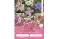サンシャインシティ「春の花々とクレマチス展」*開催期間:3月28日(金)・29日(土)*