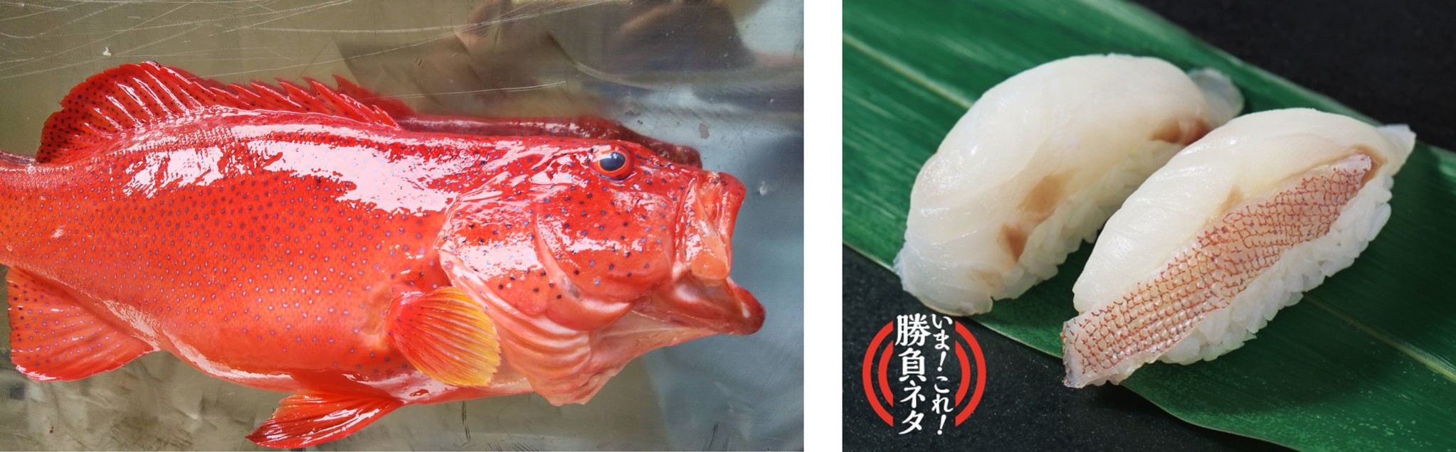 D20379 112 61bb81879e60763315a6 0