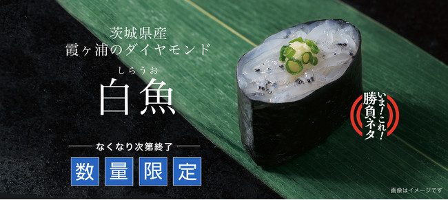 3月21日（月）まで、『茨城県産 白魚』を販売