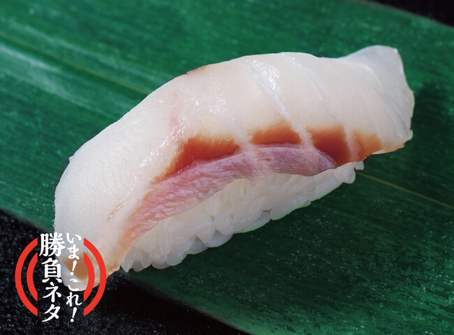 販売中 『宇和島産 マハタ』 