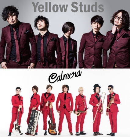 Yellow Studs、Calmera（カルメラ）