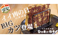 まるで牛肉！？見た目の自由度から料理が汎用的に作れる新しい代替肉「ファームミート」をスパイスワークスが開発！イイニクの日（11月29日）にロッキーカナイでメニュー展開開始！！