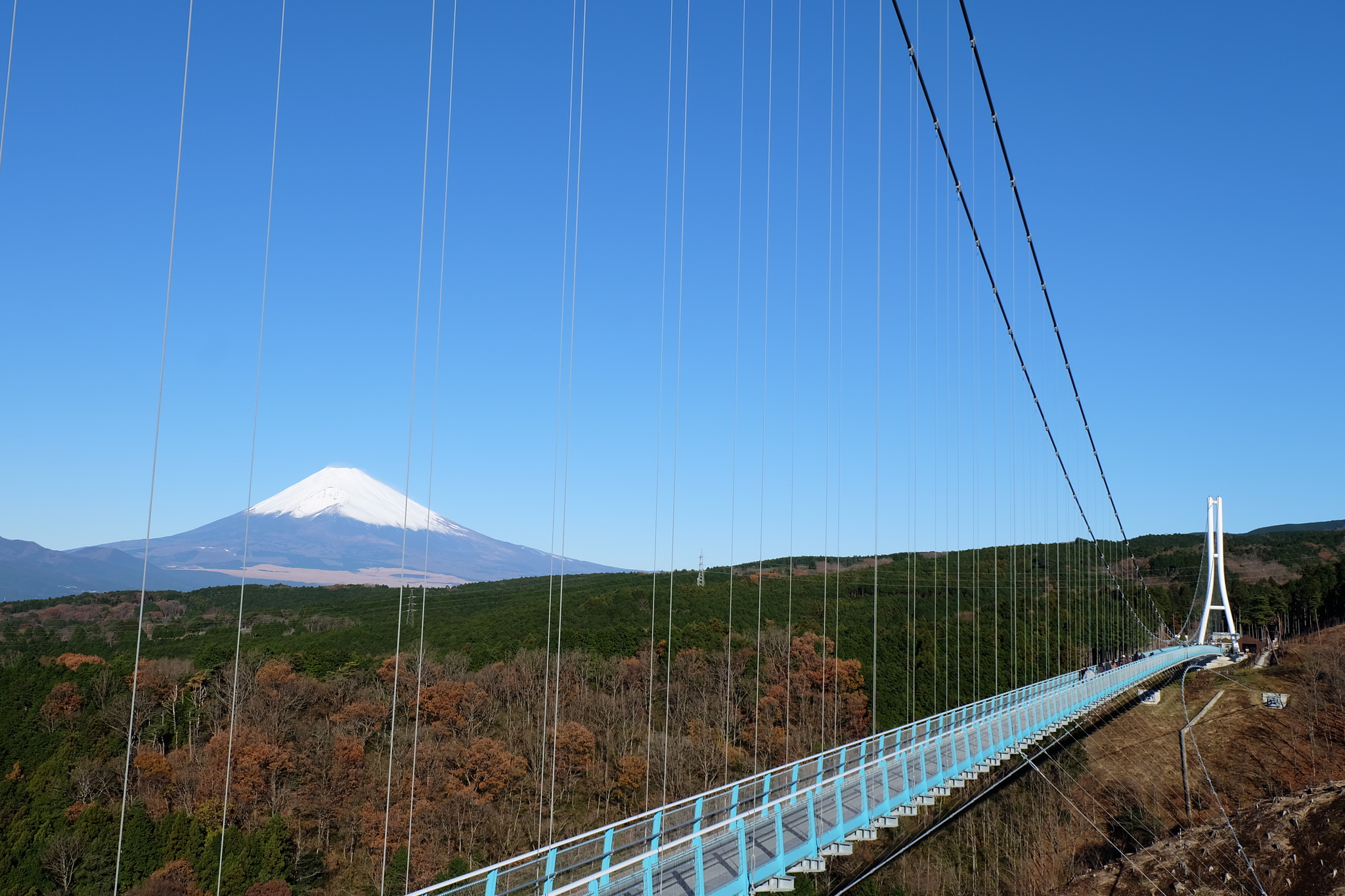 地上70mから ひと際美しい富士山を 冬富士を巡る 伊豆日帰りバスツアー 株式会社フジコーのプレスリリース