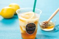 “Come on!Summer Come on!LEMON” 爽快感あふれるドリンクで夏を満喫しよう!「&TEA 瀬戸内レモンのはちみつリモンチェッロ フローズンティー」他を7月9日(水)より発売