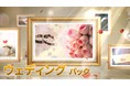 動画編集用素材サイトWondershare Filmstockに、クリスマスシーズンにぴったりのエフェクト素材が新登場