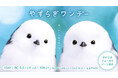 シマエナガが瞳にやすらぎをお届け。ピントアシスト付きコンタクトレンズ『やすらぎワンデー』新発売