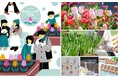 冬に目覚めた早起きな約5,000株のチューリップたちに会いに行こう!真冬のメッツァで「メッツァ アイスチューリップテラス」が期間限定オープン