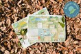 森と湖が舞台!「自然」と「英語」に楽しく触れるアクティブラーニングキット「Metsä NATURE MAP」が、2025年度より学校・教育団体向けに新登場!