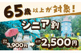 四季折々の美しい風景が楽しめるムーミンバレーパーク 2025年6月1日(日)~7月25日(金)の期間限定で65歳以上が対象のお得な前売りチケット『シニア割』販売