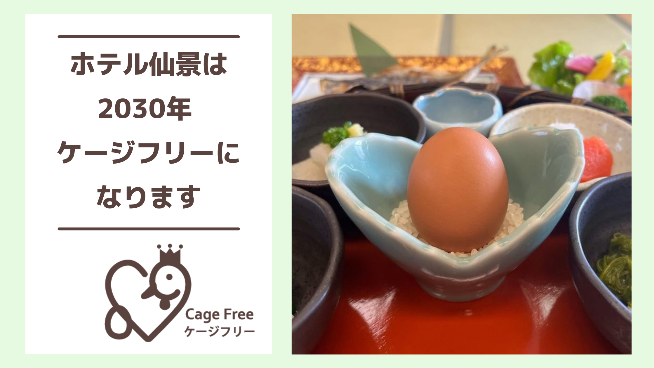 箱根初の取り組み ホテル仙景が30年までに卵をケージフリーに切り替えることを発表 Npo法人アニマルライツセンターのプレスリリース