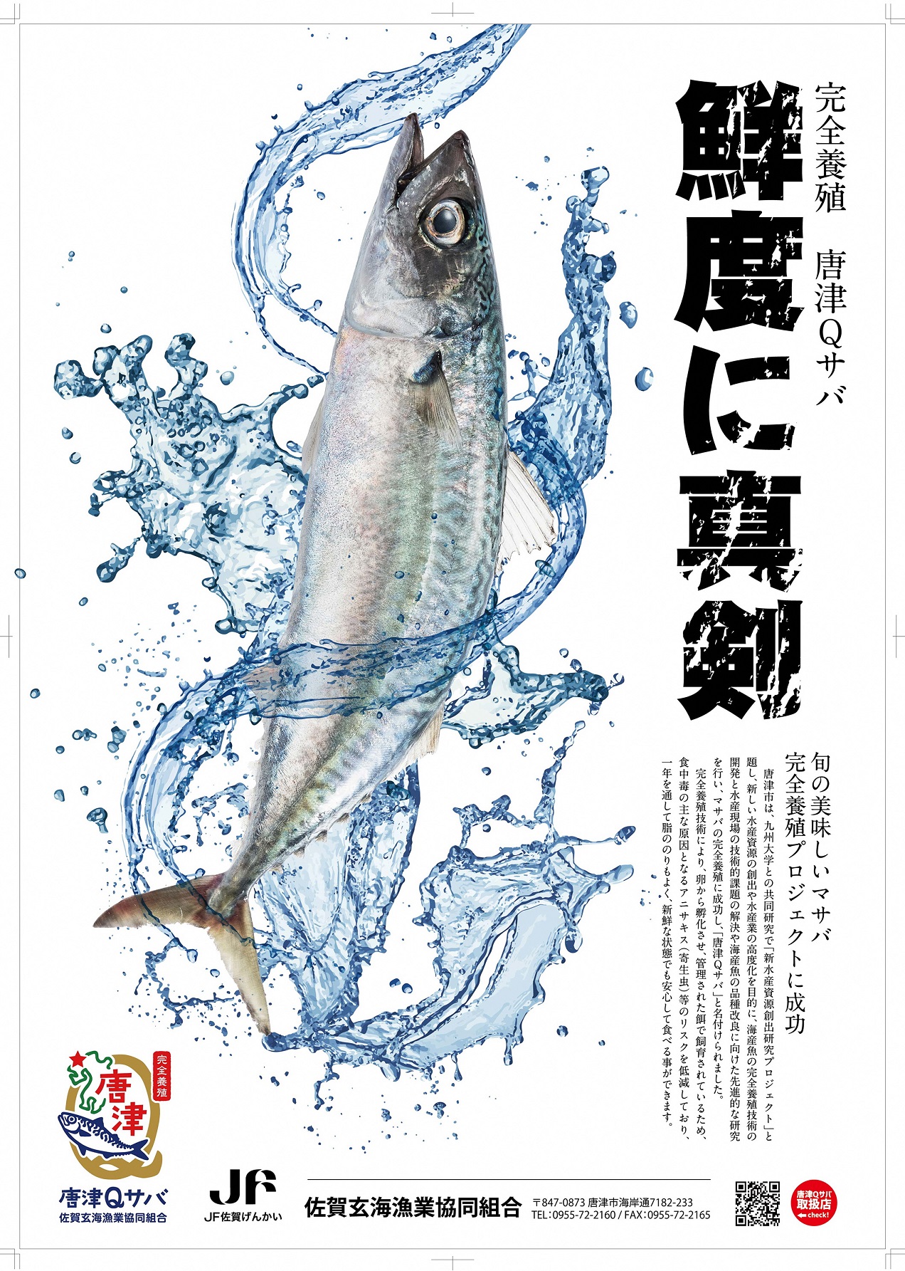 安心安全な完全養殖「唐津Qサバ」が「東京コトブキ」都内4店舗にて4/6〜5/28期間限定フェアにて登場！抜群の鮮度、脂のりをお刺身 や握り寿司にて堪能ください！｜株式会社ダイナックホールディングスのプレスリリース