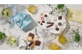 ２０２６年 モロゾフのホワイトデー　春のひとときを彩る華やかなスイーツが登場