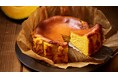 旬のかぼちゃを使用した秋限定チーズケーキ発売