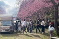 移住希望者ランキング1位の群馬県にて、地域の人の活躍を後押し!町営庭園「中之条ガーデンズ」のオープン5周年記念イベントを4月12日(土)、13日(日)開催。咲き誇る花桃の丘にて。