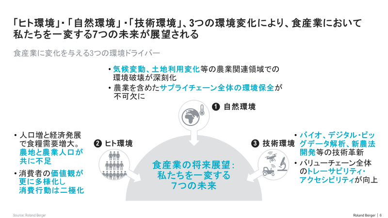 将来展望