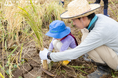 お米の価値を見直す“食育体験”。年間33万人が訪れる農園リゾートTHE FARMで、稲刈り体験付き宿泊プランを3日間限定で販売