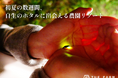 千葉・香取の里山に、今年も自生のホタルの光。農園リゾートTHE FARMでご宿泊者様限定のホタル観賞体験を実施